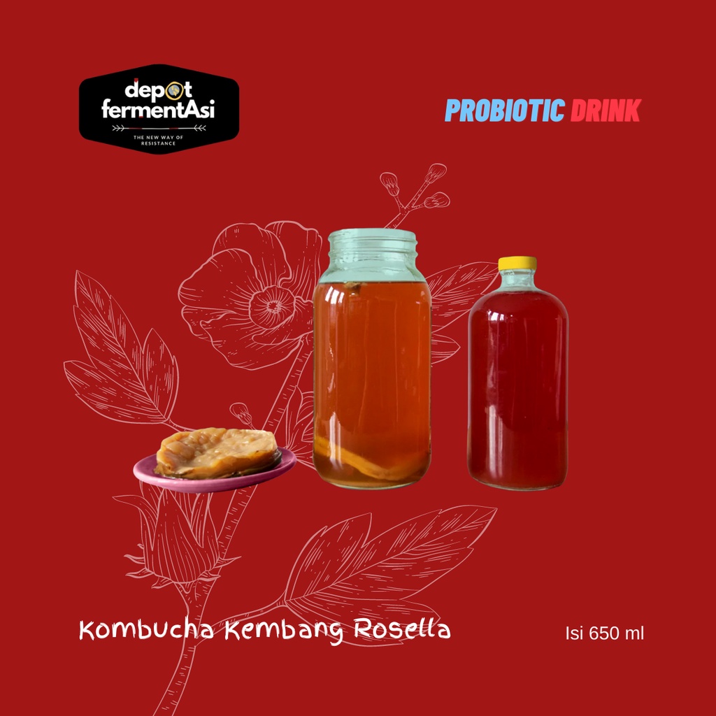 

Teh Kombucha Rosella 650 ml | Minuman Probiotik
