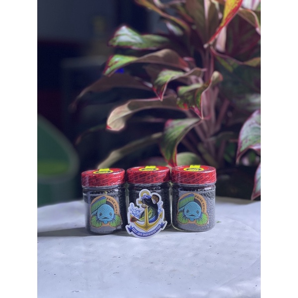 Pelet Virus Fajar Arief