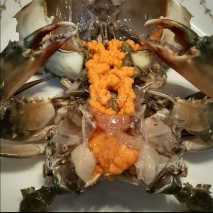 

Kepiting Bertelur Frozen Berkualitas - 1 Kilogram