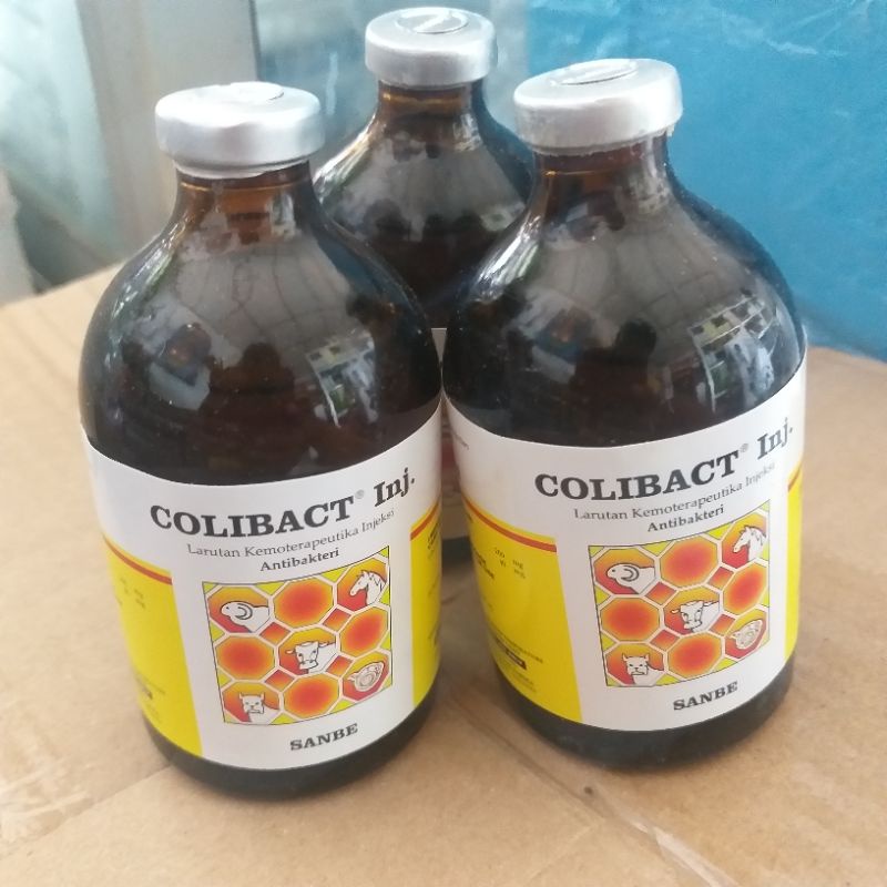 Colibact inj 50 ml dan 100 ml