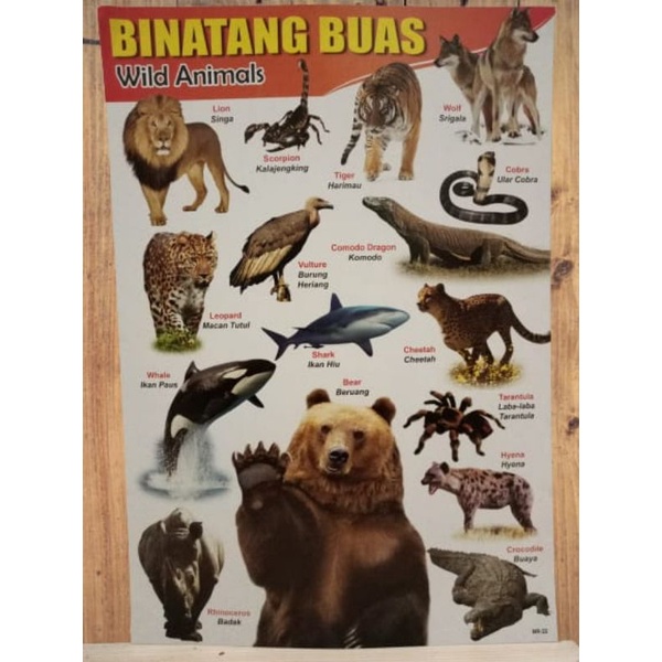 

Poster Belajar Anak Binatang Buas
