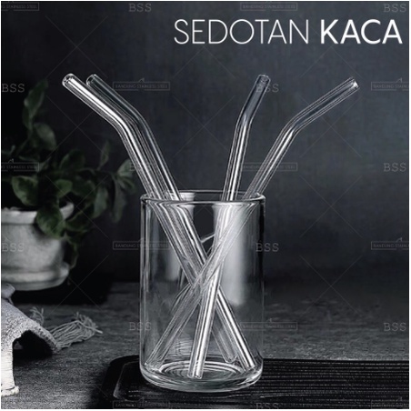 Sedotan Stainless Lurus 21.5CM Beling Bengkok Sikat Sedotan Brush Straw Cleaner