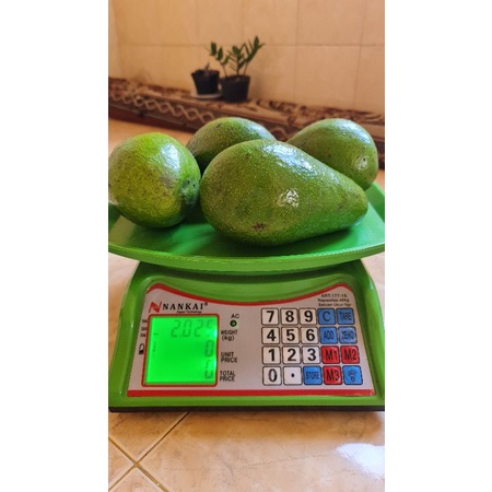 

Promo Alpukat Lokal Jumbo