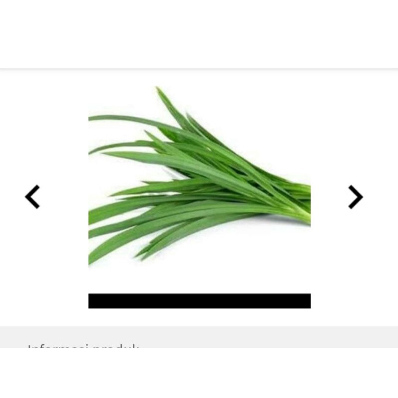 

daun pandan wangi segar 250 gr