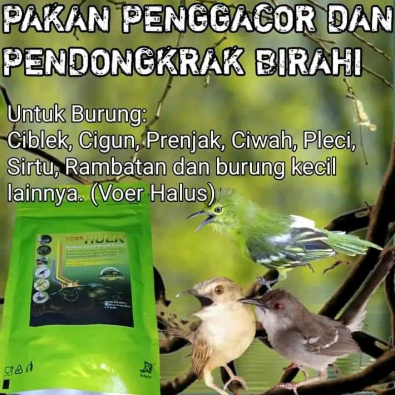 Voer HULK pur burung kecil