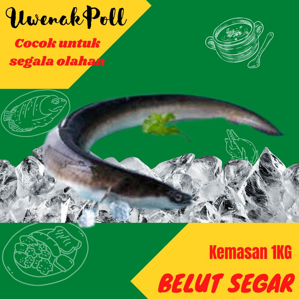 

Belut Segar Kemasan 500gr dan 1kg Cocok Untuk Segala Olahan Makanan