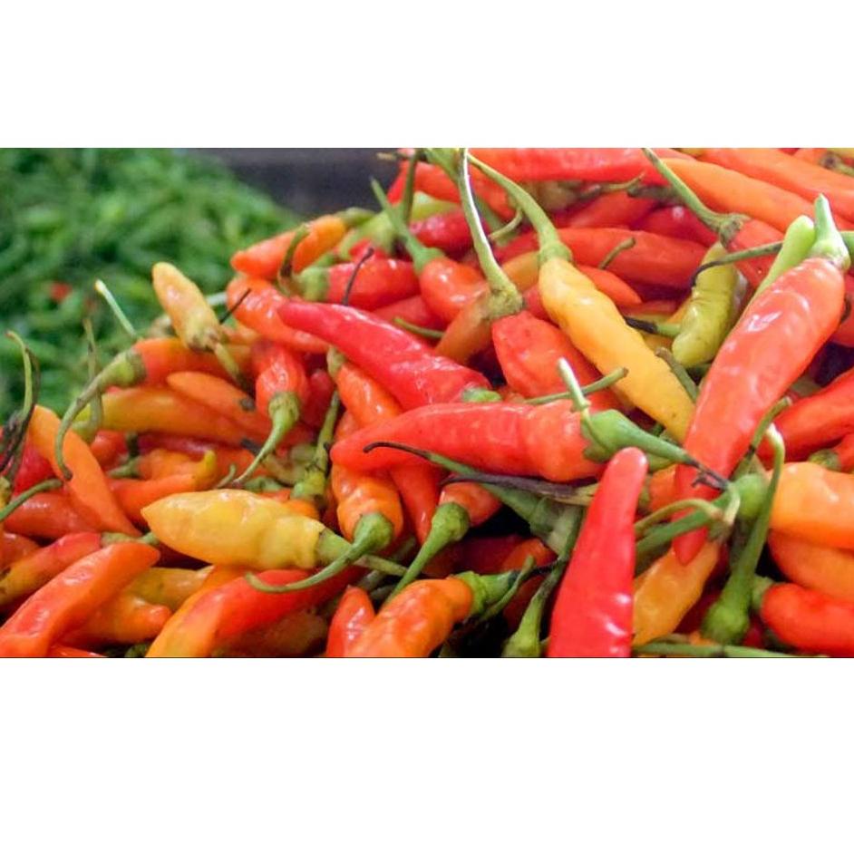

❈Ready✮➧ 97BU8 FCW - Cabe Rawit Merah 250 Gram 82 Murah