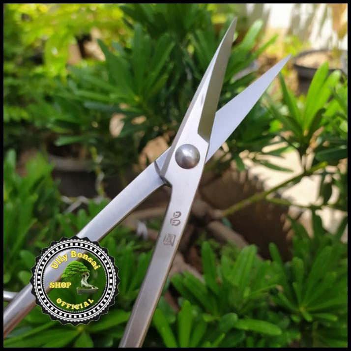 

Gunting Prunning Daun Dan Ranting 21Cm Stainless Steel Kualitas Premiu