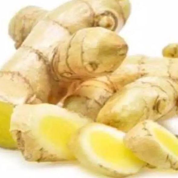 

Terlaku... Kunyit mangga segar 1kg (temu mangga/curcuma zedoaria)gratis bibit