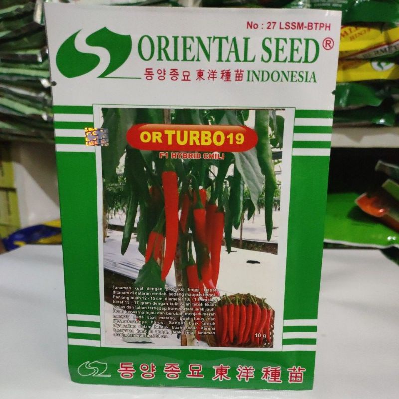 Benih Cabai Besar Hibrida F1 OR TURBO 19 (10 GR) ORIENTAL SEED