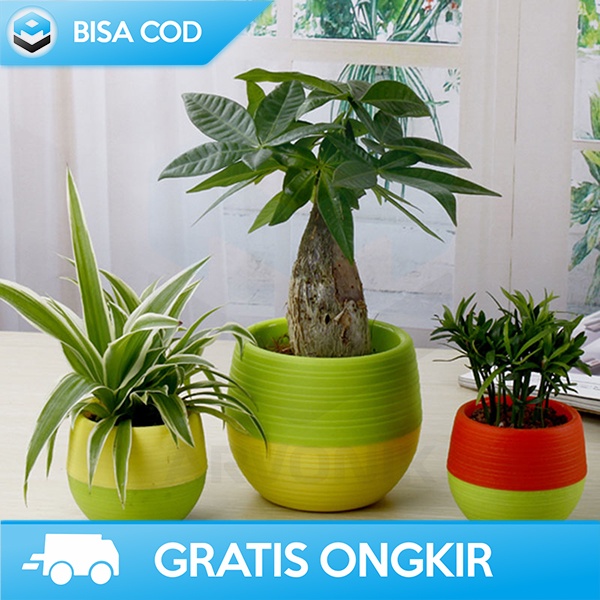POT BUNGA MINI BAHAN PLASTIK VAS BUNGA TANAMAN HIAS DESAIN MINIMALIS