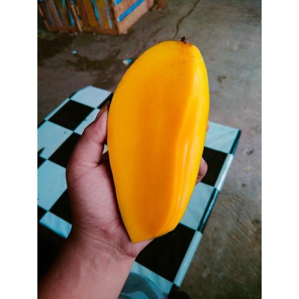 

Mangga kiojay thailand 1kg|mangga manis|buah segar bandung