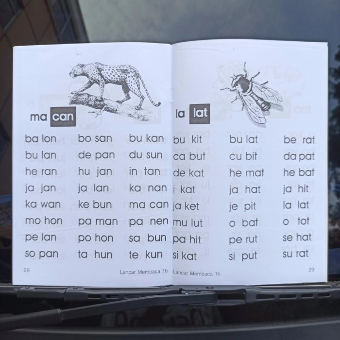 BUKU ANAK LANCAR MEMBACA BUKU LATIHAN ANAK BELAJAR MEMBACA TK SD PAUD