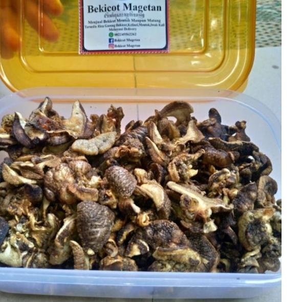 

READY ✅Kripik Bekicot Best Seller 100 Gram|KD3
