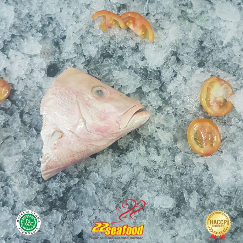 

Kepala Kakap Merah B 1 Kg isi 2-3 pcs / Seafood 22