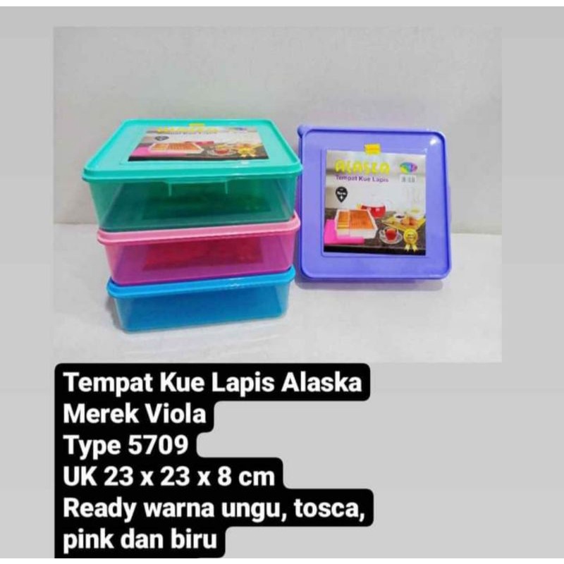 Tempat kue lapis alaska / kotak serbaguna viola warna warni