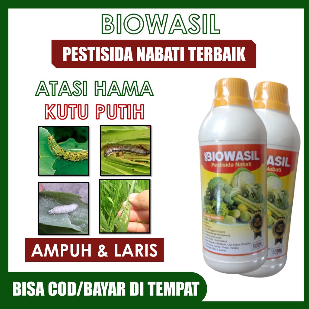 (COD AMAN) Pestisida BIOWASIL Atasi Hama Ulat Daun Cabe, Ulat Daun Padi, Ulat Daun Pisang, Ulat Daun Jambu dll – Pupuk Insektisida semprot Basmi Ulat Tanaman, Obat Hama Ulat Bawang, Cabe, Padi, Mangga dan semua tanaman