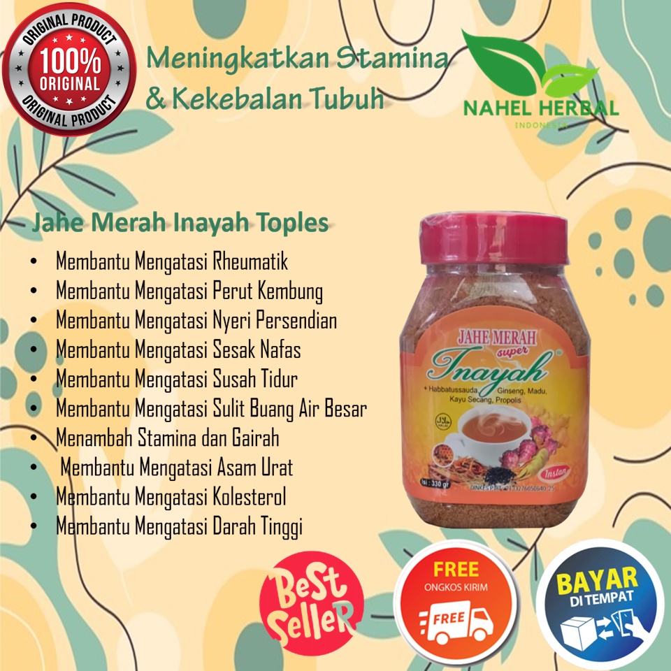 Obat Gemuk Pria Racikan Farmasi Bpom - Temulawak Terbuat Dari 100% Temulawak Asli Organik - Vitamin 
