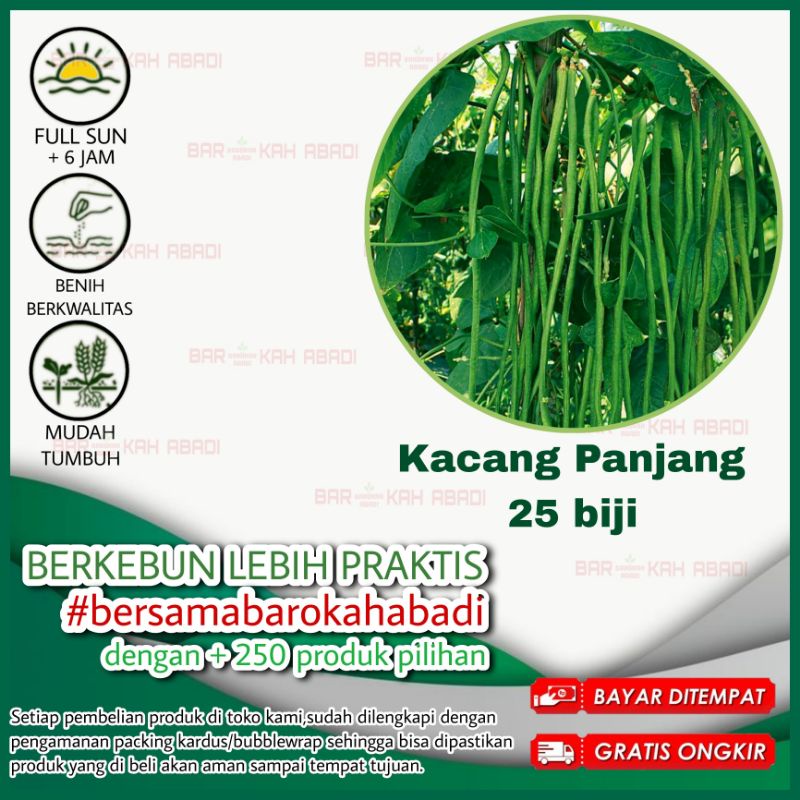 25 Biji - Benih Kacang panjang Sabrina Garuda Seed -Benih Bibit Seed Sayuran Eceran Murah