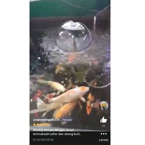 PIPA AIR MANCUR KOLAM IKAN MODEL JAMUR / PAYUNG / MUSROM