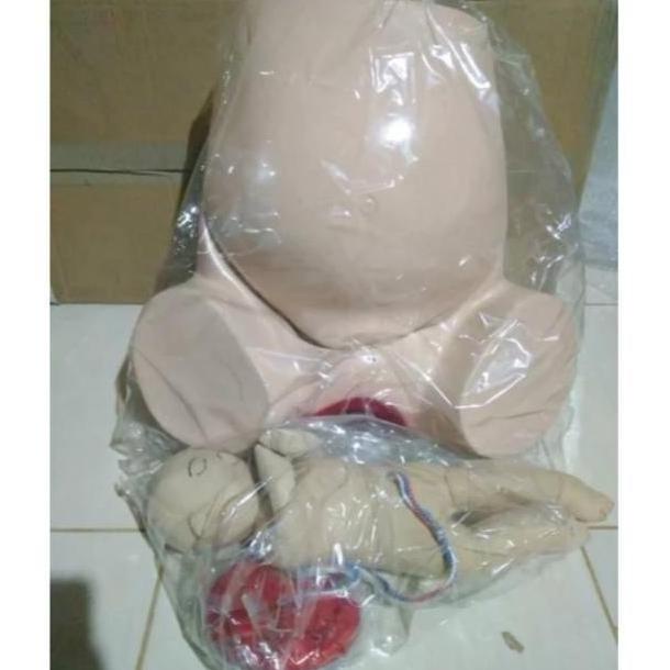 Phantom/Manikin Model Panggul Persalinan/Panggul Melahirkan Fiber