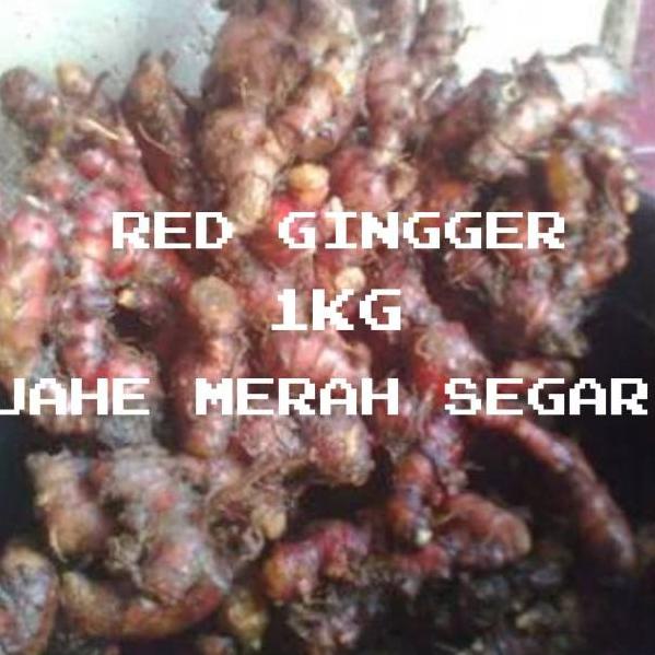 

12.12 STOK READY JAHE MERAH SEGAR ALAMI FRESH -RED GINGER 1KG buruan