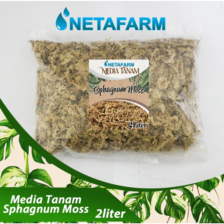 Media Tanam - SPHAGNUM MOSS Kemasan 2 Liter