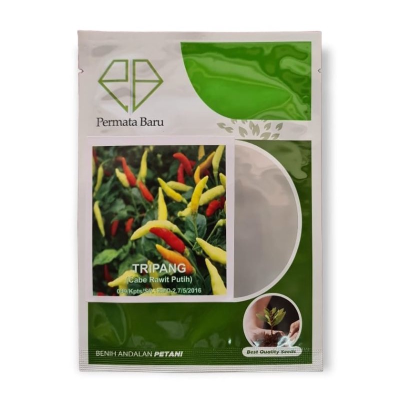 Benih Cabe Rawit Putih TRIPANG | Bibit Cabe Rawit Putih | Biji Cabe Rawit Putih | Cabe Rawit Putih