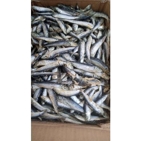 

Ikan asin Sarden/lesi 1kg kwalitas Terbaik