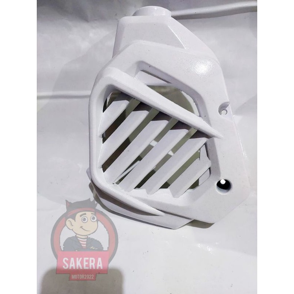 cover radiator vario techno 125/cover radiator vario125 lama