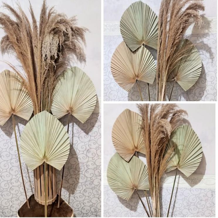 Ready Berkualitas daun kering dekorasi + pampas buluhalus
