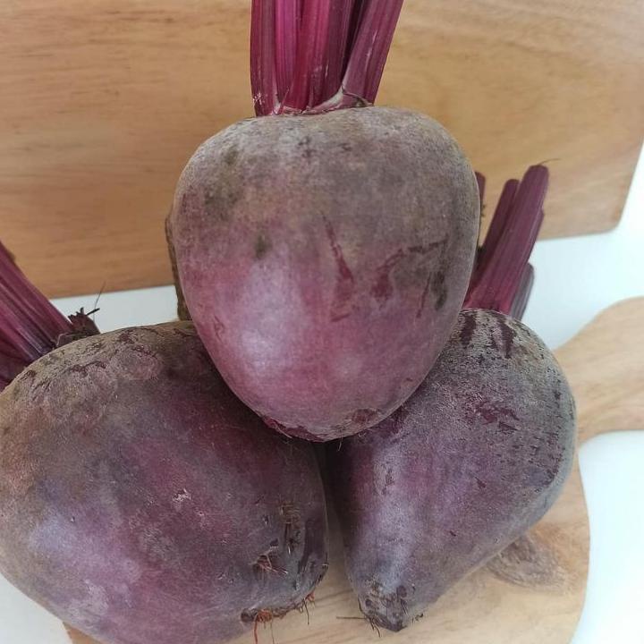 

TREND Buah bit/beet root KUALITAS SUPER 1 KG ❂ 891
