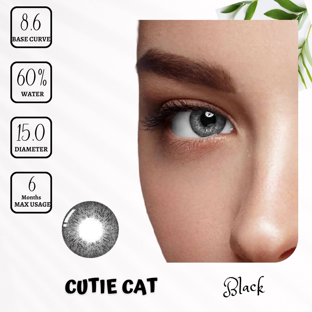 SOFTLENS CUTIE CAT MINUS -0.50 SD -6.00