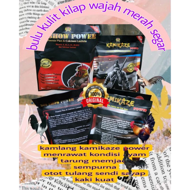 KAMIKAZE bonus BIG SHOW POWER PREMIX PLUS &amp; CALCIUM LACTATE POWER MENGUATKAN tenaga dan memperkokoh otot nafas stamina BURUNG MERPATI TERBANG JAUH TINGGI TAHAN LAMA ASLI ORI