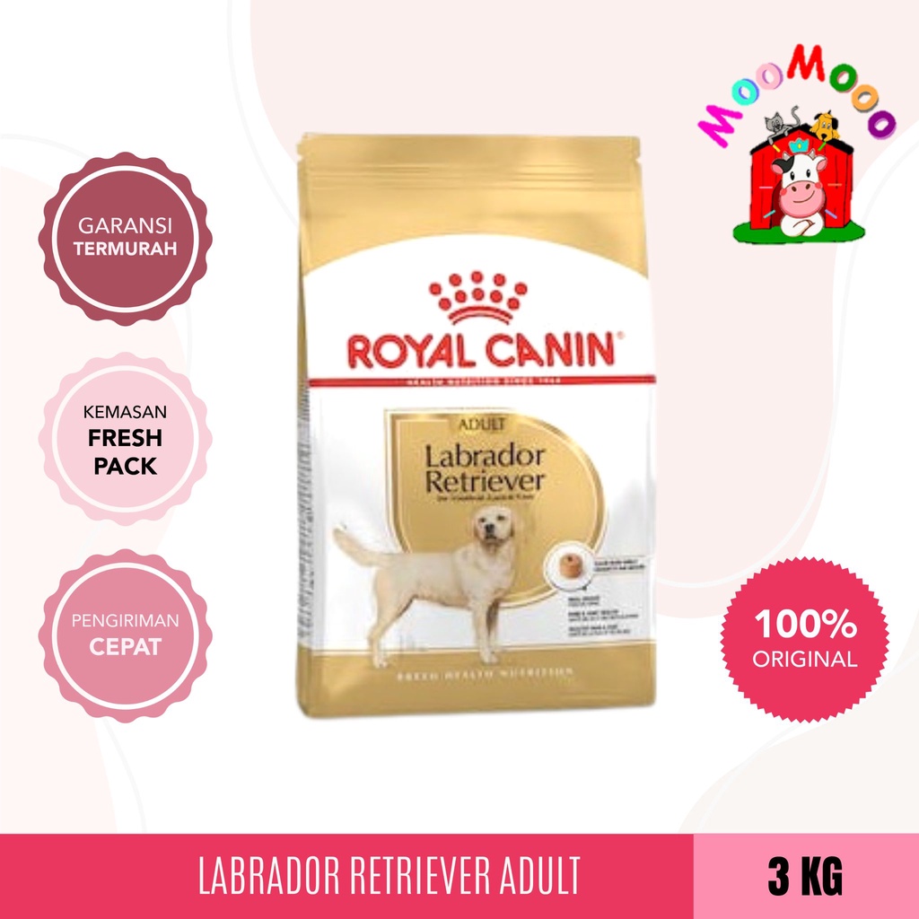 Royal Canin Labrador Retriever Adult Makanan Anjing Dewasa 3kg