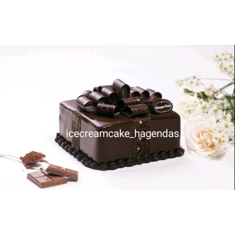 

Haagendazs Ice Cream Cake Perfect Gift 500 Gram