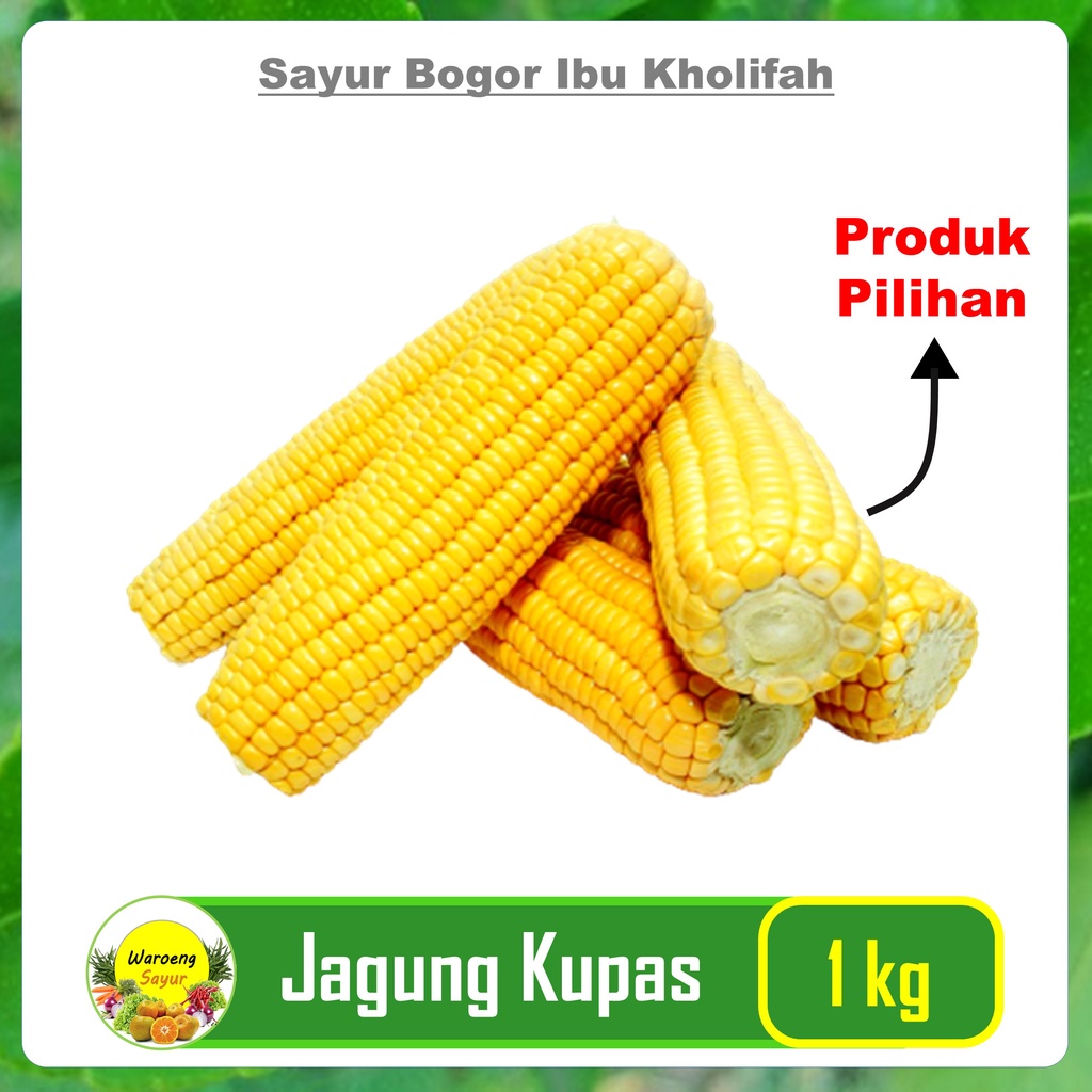 

Jagung Manis Kupas 1kg Sayur Sayuran Segar Online Bogor