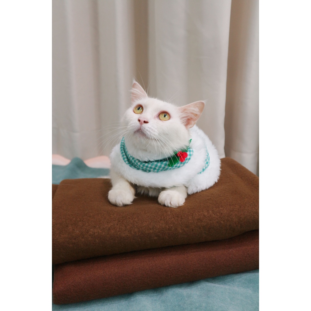 Gingham Shawl / Syal Natal Baju Anjing Kucing / Aksesoris Hewan