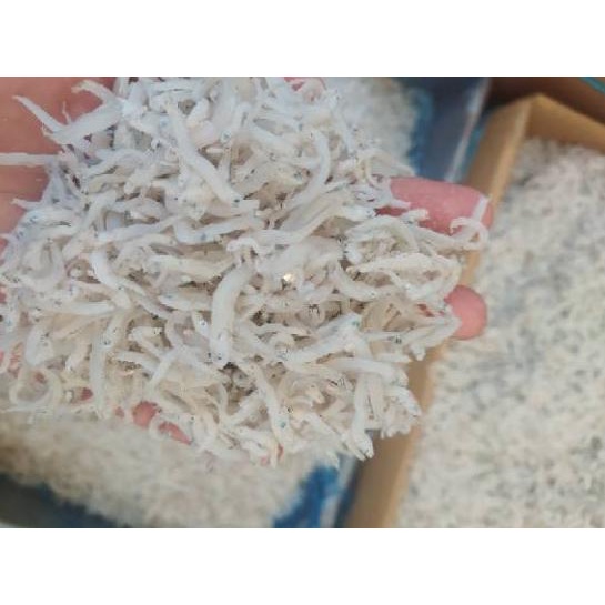 

✔ ikan asin teri nasi medan halus size,kecil-500gram Berkualitas