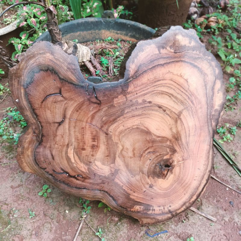 SLICE JATI UNIK/POTONGAN KAYU JATI 25-33X3 CM