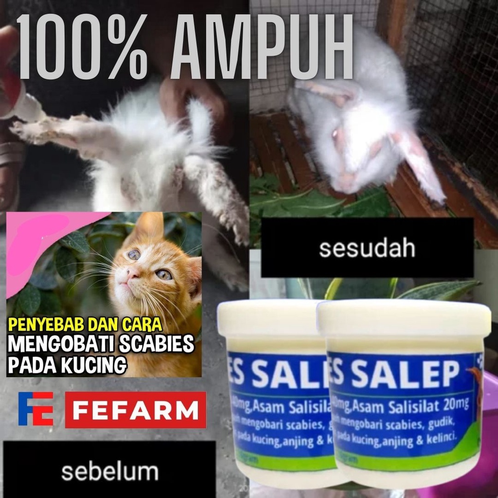 SALEP SCABIES JAMUR 30 GRAM OBAT JAMUR KUCING ANJING KELINCI AMPUH FEFARM