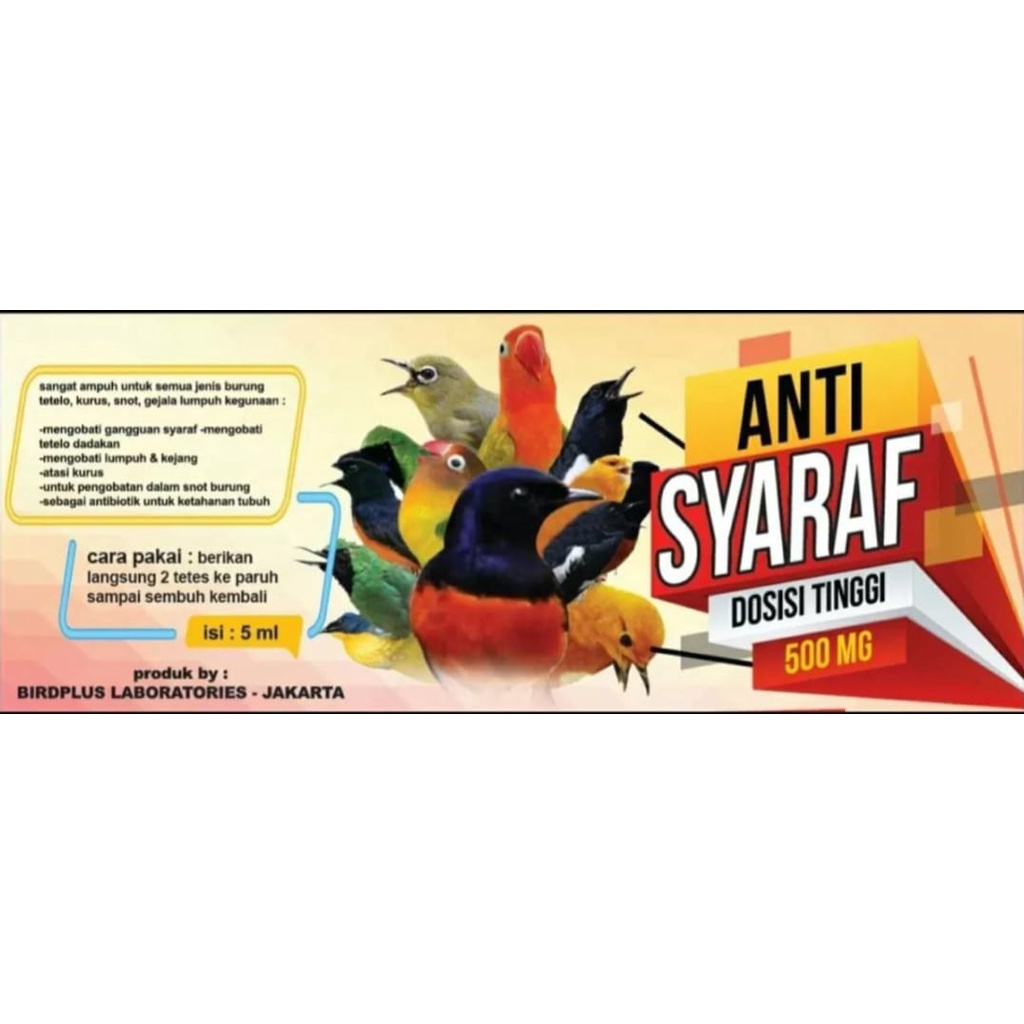 anti syaraf dosis tinggi 500mg bmw obat tetelo celeng burung ayam atasi penyakit saraf