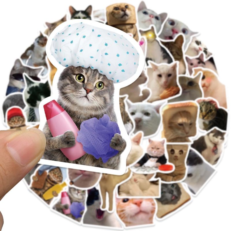 

50pcs Sticker Funny Cat Meme Stiker PVC Kucing Lucu Laptop Koper HP Anti Air