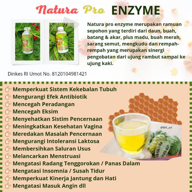 

PRO ENZYME NATURA (detok usus)