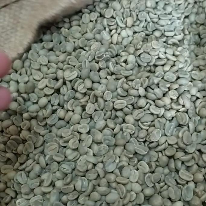 

green bean / biji kopi arabika flores bajawa 1kg - dryhull