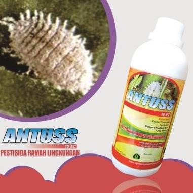 Saku Pestisida Organik-Pembasmi Kutu Kebul-Kutu Apis-Kutu Putih-Kutu Hitam