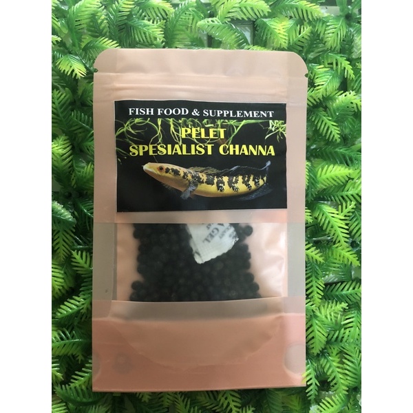 PELET CHANNA MARU PREMIUM MEMPERCEPAT WARNA DAN DAYA TAHAN TUBUH