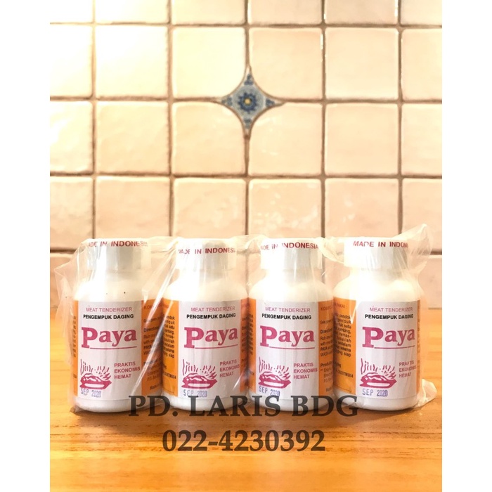 

PAYA TEPUNG PENGEMPUK DAGING 4X70GR (MEAT TENDERIZER)