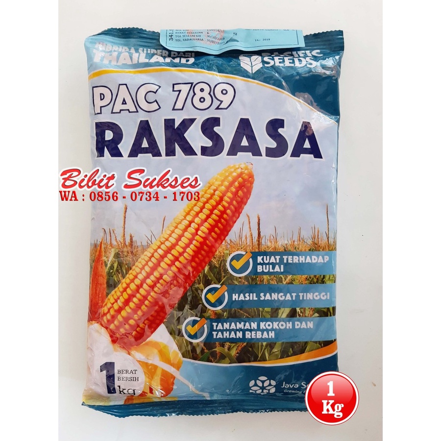 Benih Bibit Jagung Hibrida PAC 789 RAKSASA Kemasan 1 Kg