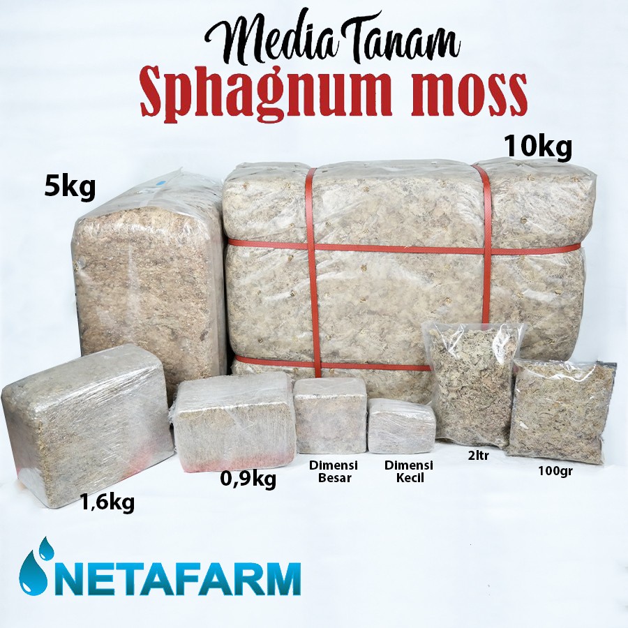 Media Tanam - SPHAGNUM MOSS Kemasan 2 Liter